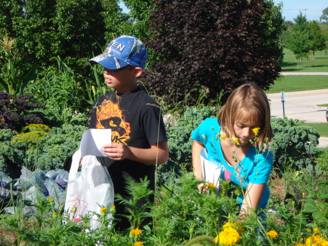 helping in the junior master garden