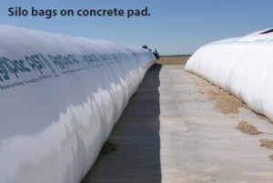 2 large white silage bags