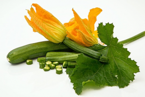 picture of zucchini