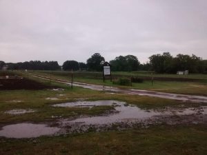 Flooding at Community Gardens 2017