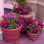 3 flower pots mixed an arrangement of pink flowers