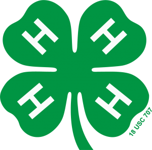 picture of Green 4-H Clover