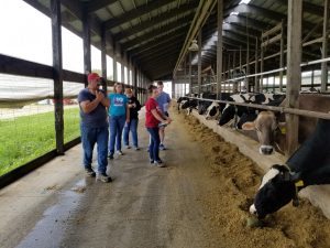 Dairy Management Tours for Youth