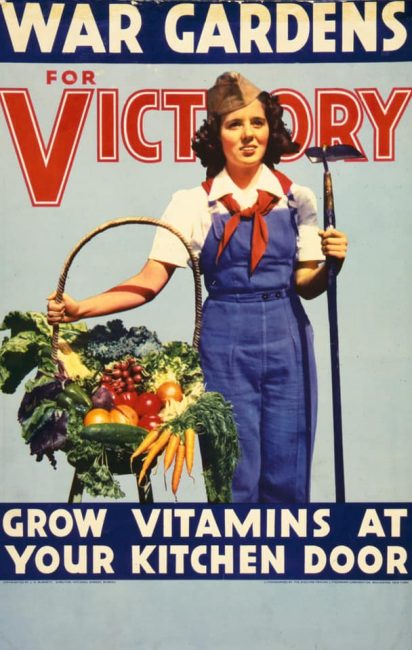 Woman holding a basket of fresh vegetables