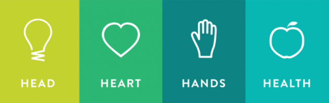 Head Heart Hands Health symbols and words for 4-H