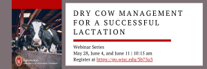 Managing the Dry Period for a Successful Lactation