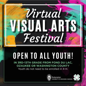 Virtual Visual Arts Festival