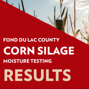 corn silage moisture results