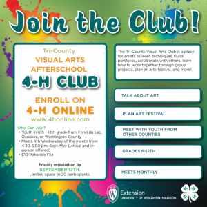 New Afterschool 4-H Clubs: LEGO Club and Visual Arts Club