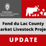 fdl county market livestock project update with logos
