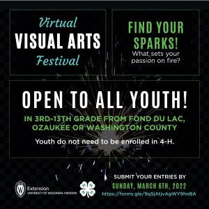 2022 Tri-County 4-H Visual Arts Festival