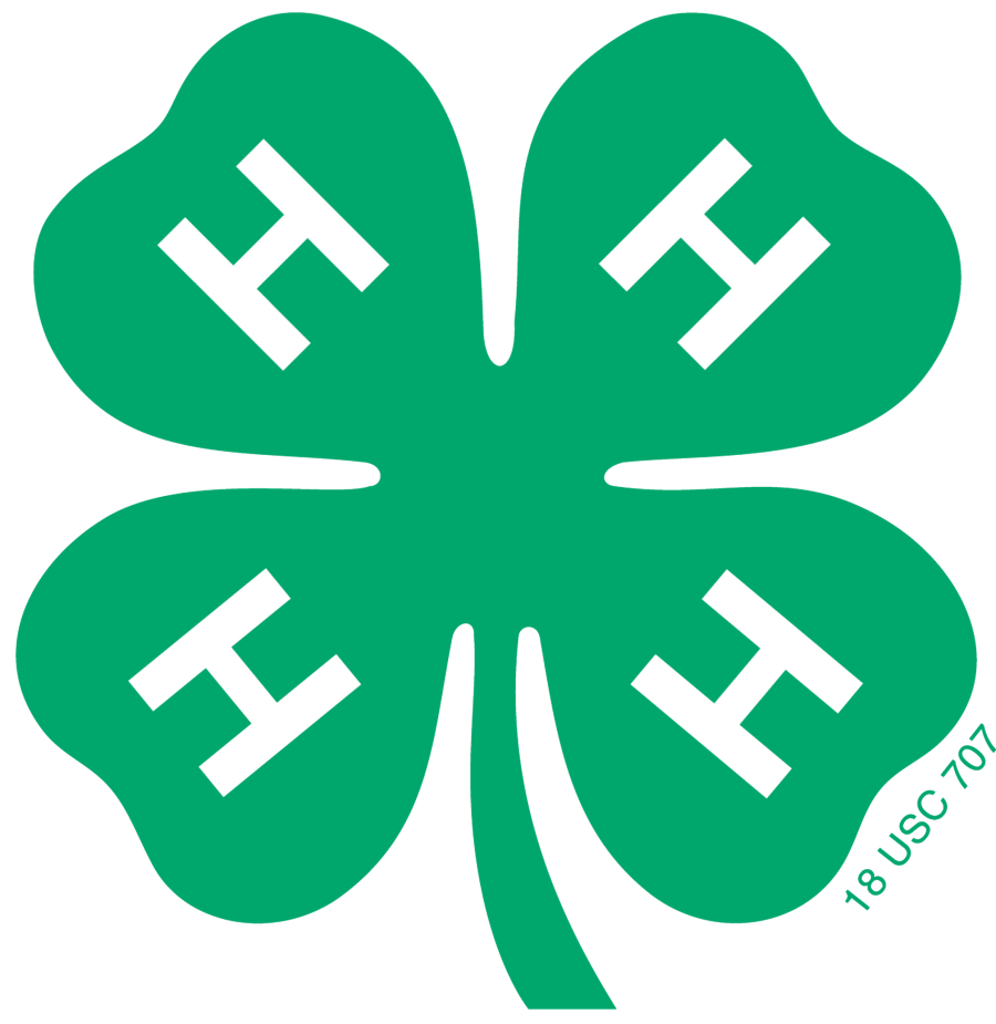 Help Plan the 4-H Fall Kick-Off!