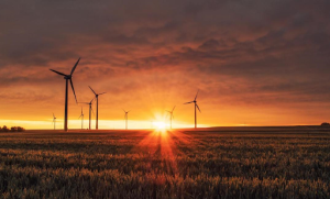 Ag Producers & Rural Businesses: Clean Energy Funding Series