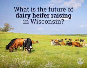 Future of Dairy Heifer Raising: Grazing Heifers for Economics and Ecological Returns Event