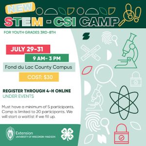 Unlocking Creativity and Confidence: A Summer of 4-H Experiences