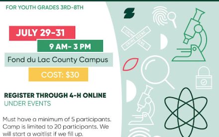 Unlocking Creativity and Confidence: A Summer of 4-H Experiences