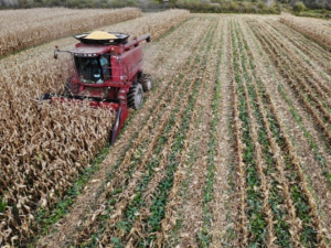 NOPP Applications Open for 2026: Conduct nitrogen management research on your farm