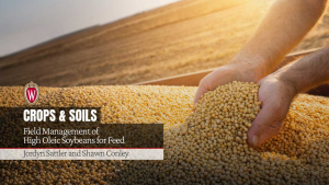 Field Management of High Oleic Soybeans for Feed