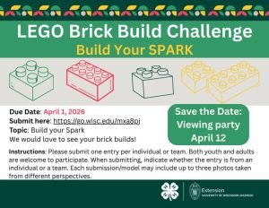 Introducing the Build Your SPARK LEGO Brick Build Challenge