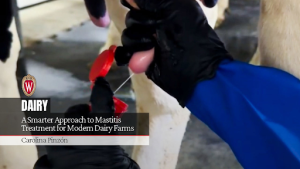 Milk from the Udder World and A Smarter Approach to Mastitis Treatment for Modern Dairy Farms