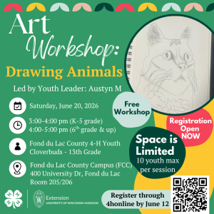 Join Us for a Youth-Led Drawing Workshop!