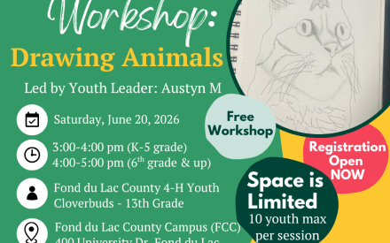Join Us for a Youth-Led Drawing Workshop!