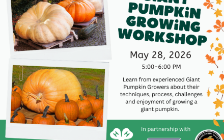 Giant Pumpkin Growing Workshop