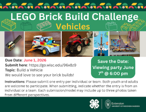 LEGO Brick Build Challenge: Vehicles