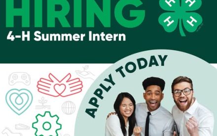 Now Hiring: 4‑H Summer Intern!