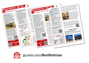Bovi-Noticias: The Bilingual Newsletter