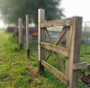 A closed gate stops escapes. Biosecurity stops disease.