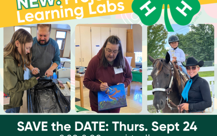 Introducing 4-H Project Learning Labs!