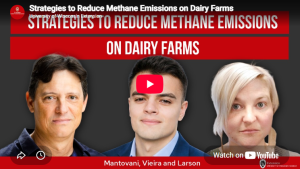 Strategies to Reduce Methane Emissions on Dairy Farms [Video]