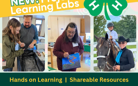 Learn, Create & Grow with 4-H Project Learning Labs!