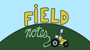 Field Notes: Strip Tillage